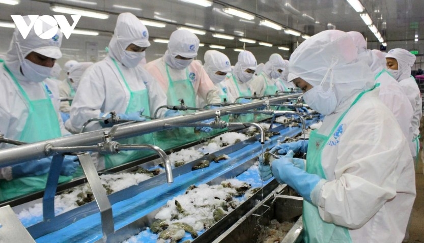 Seafood sector urged to transform for long-term export competitiveness